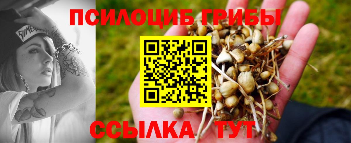Галлюциногенные грибы ЛСД Тверь